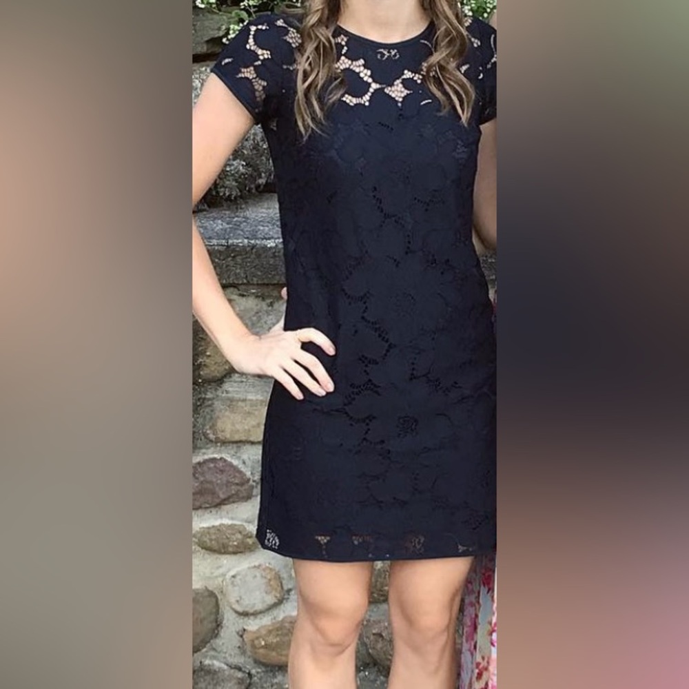 Loft navy lace petite dress